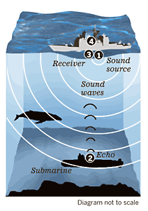sonar diagram